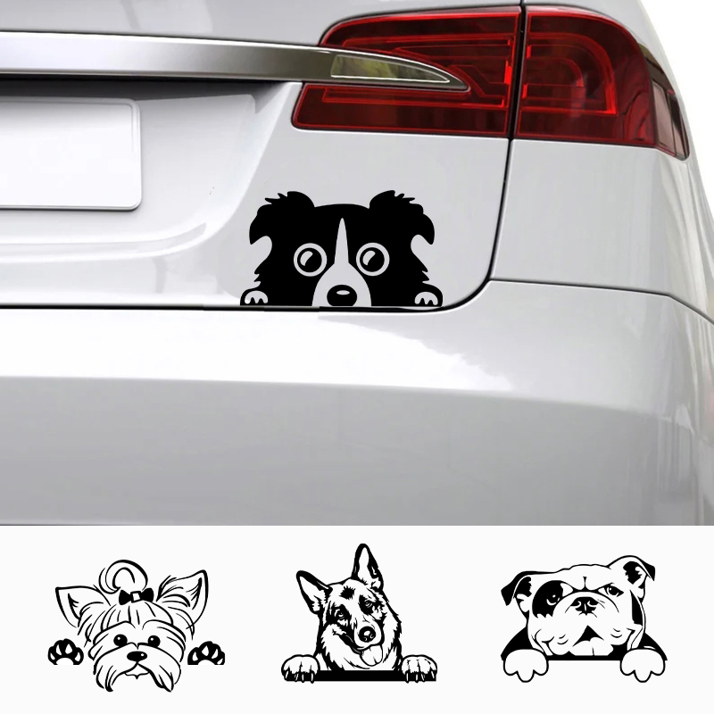 車 Accessorie デカールおかしい犬名車デカール犬ペ - Laptop Accessories Name のレビューと価格