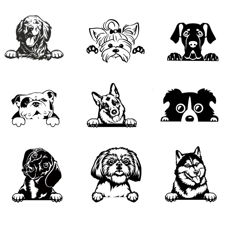 車 Accessorie デカールおかしい犬名車デカール犬ペ - Laptop Accessories Name のレビューと価格